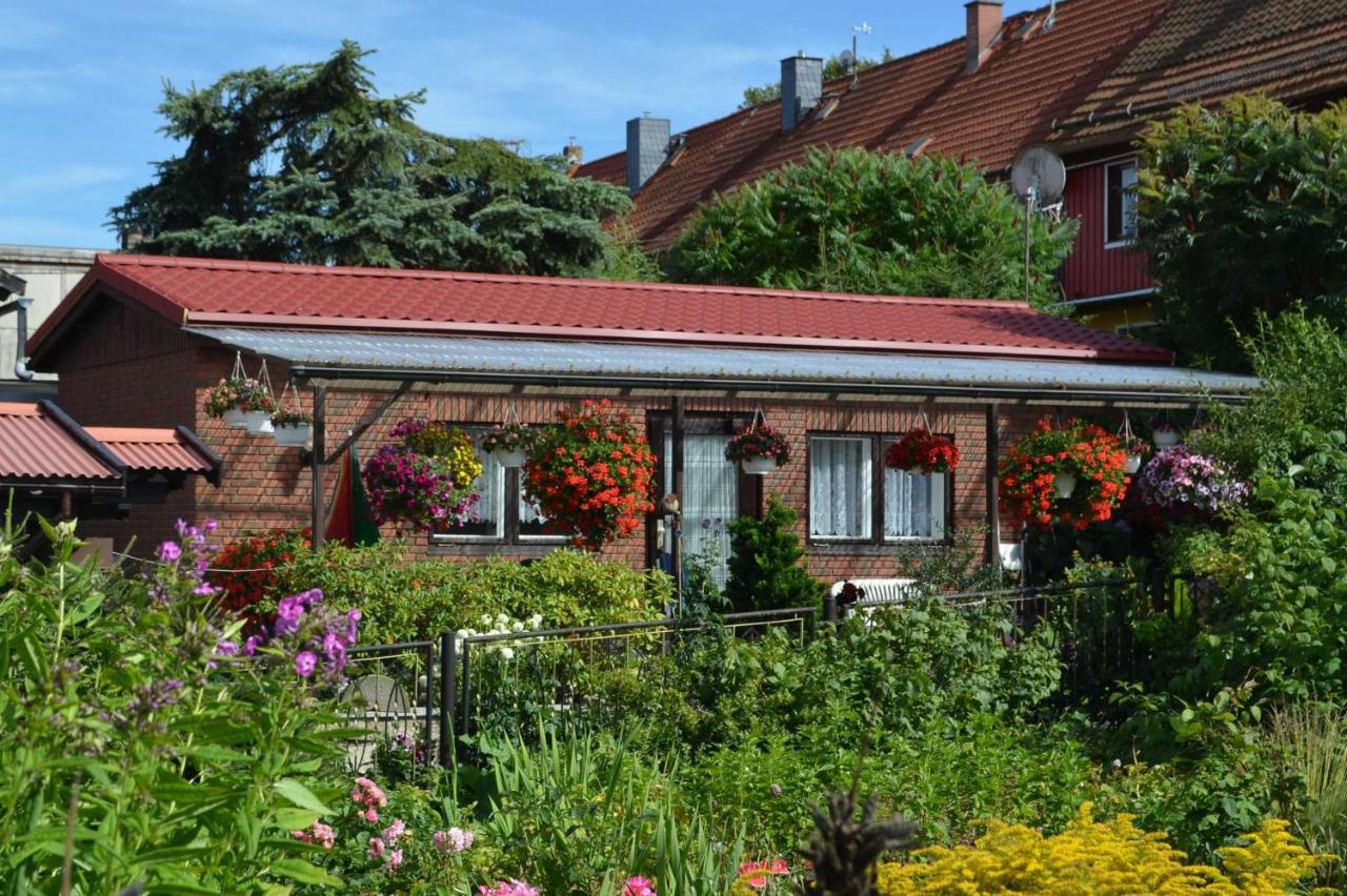Bungalow Weidling Hasselfelde Esterno foto